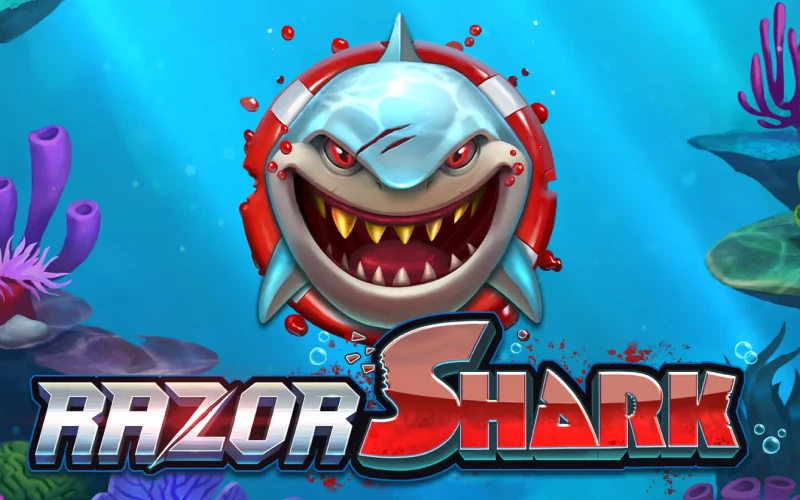 Dive for treasures in the Razor Shark slot at Ricky casino.