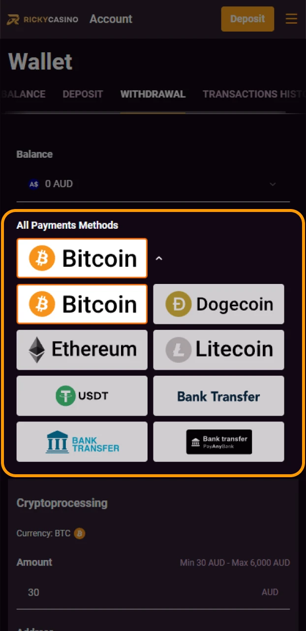 Select a preferred service to facilitate your Ricky casino withdrawal.